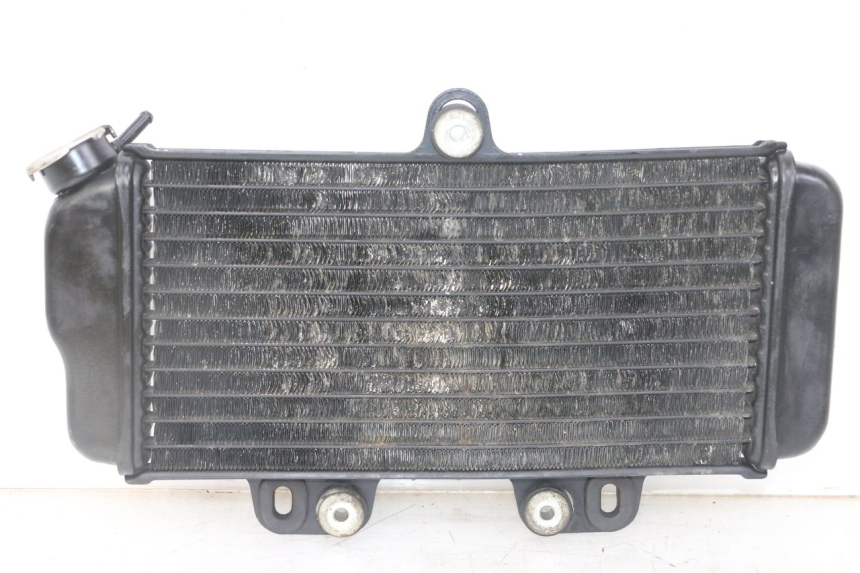 photo de RADIATEUR YAMAHA TDR DELTABOX 125 (1993 - 2003)