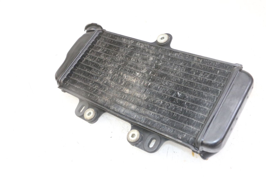 photo de RADIATEUR YAMAHA TDR DELTABOX 125 (1993 - 2003)