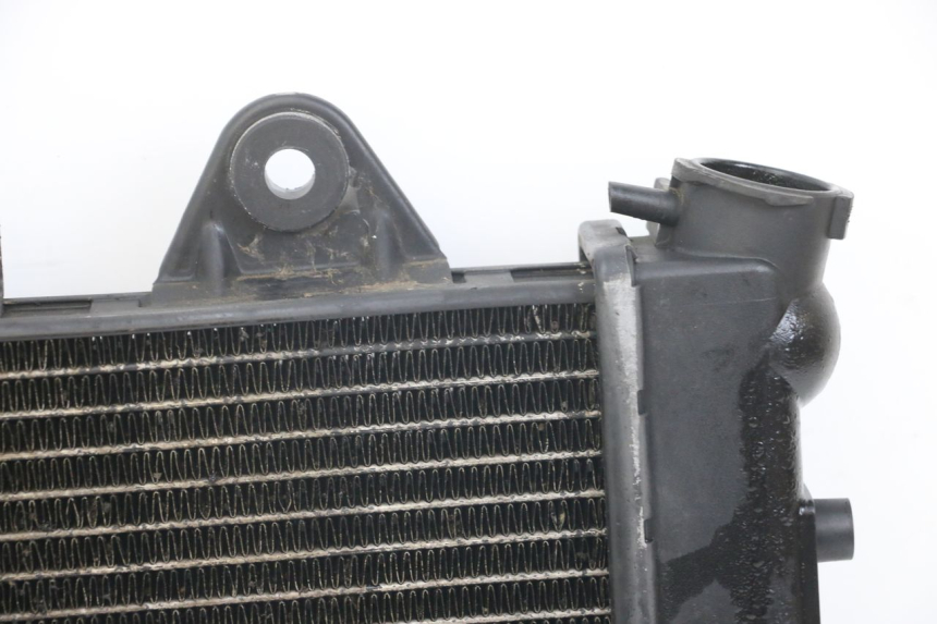 photo de RADIATEUR TRIUMPH SPEED TRIPLE T301 900 (1994 - 1996)