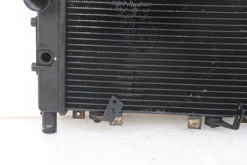 photo de RADIATEUR TRIUMPH SPEED TRIPLE T301 900 (1994 - 1996)