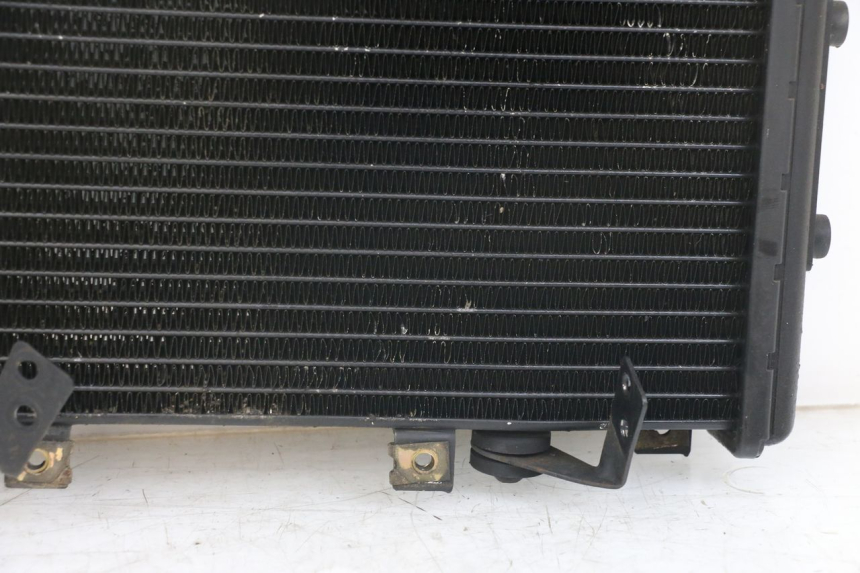 photo de RADIATEUR TRIUMPH SPEED TRIPLE T301 900 (1994 - 1996)