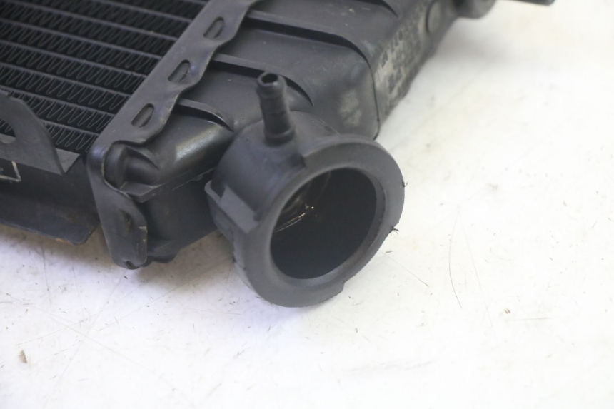 photo de RADIATEUR YAMAHA TZR 50 (2008 - 2016) - Vue d’ensemble