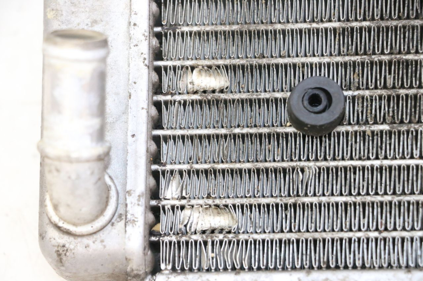 photo de RADIATEUR YAMAHA X-CITY XCITY 125 (2007 - 2008)