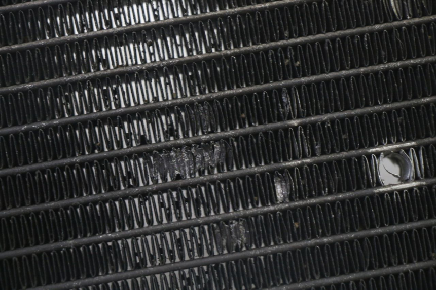 photo de RADIATEUR YAMAHA X-MAX XMAX 125 (2010 - 2014)