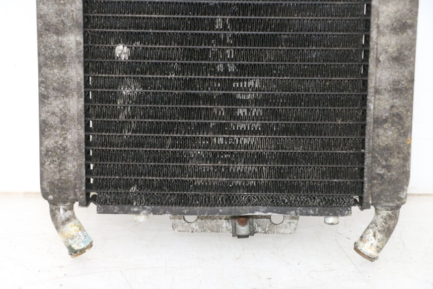 photo de RADIATEUR PIAGGIO X8 125 (2004 - 2007) - Vue rapprochée