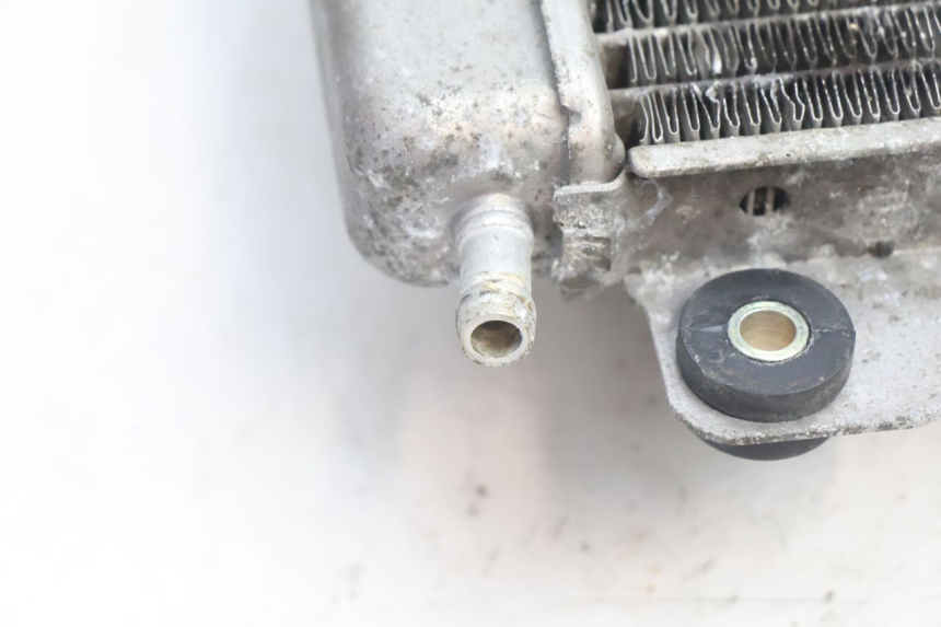 photo de RADIATEUR PIAGGIO X9 AMALFI 180 (2000 - 2003) - Vue produit