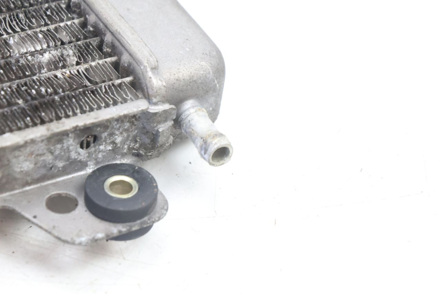 photo de RADIATEUR PIAGGIO X9 AMALFI 180 (2000 - 2003) - Détails caractéristiques