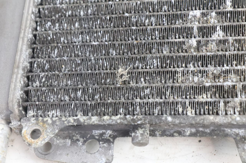 photo de RADIATEUR PIAGGIO X9 AMALFI 180 (2000 - 2003) - Vue d’ensemble