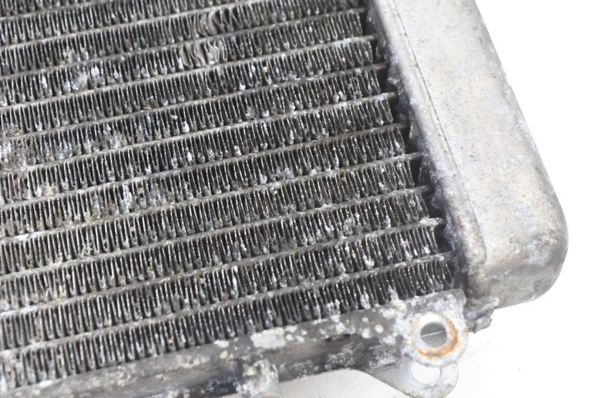 photo de RADIATEUR PIAGGIO X9 AMALFI 180 (2000 - 2003) - État de surface