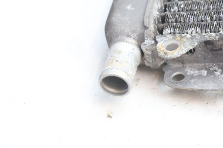 photo de RADIATEUR PIAGGIO X9 AMALFI 180 (2000 - 2003) - Pièce contrôlée