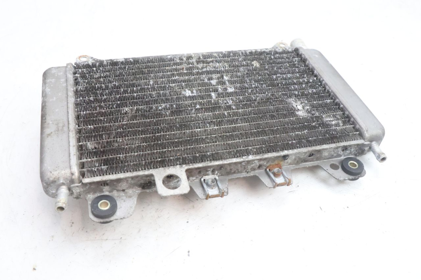 photo de RADIATEUR PIAGGIO X9 AMALFI 180 (2000 - 2003) - Marquages et références