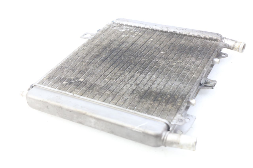 photo de RADIATEUR PIAGGIO X9 EVOLUTION 500 (2003 - 2005)