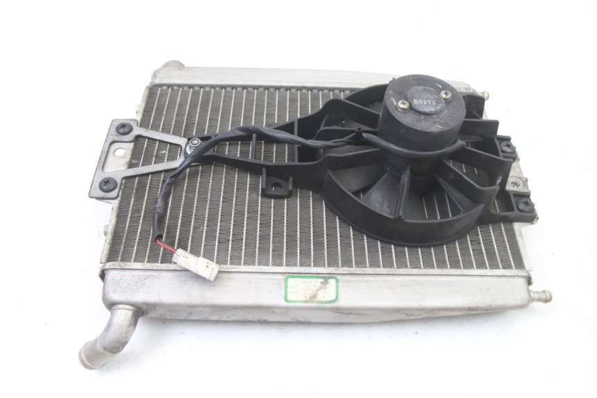 photo de RADIATEUR PIAGGIO XEVO - X EVO 125 (2007 - 2016)