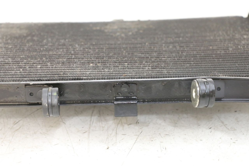 photo de RADIATEUR YAMAHA XJ6 ABS 600 (2008 - 2016)