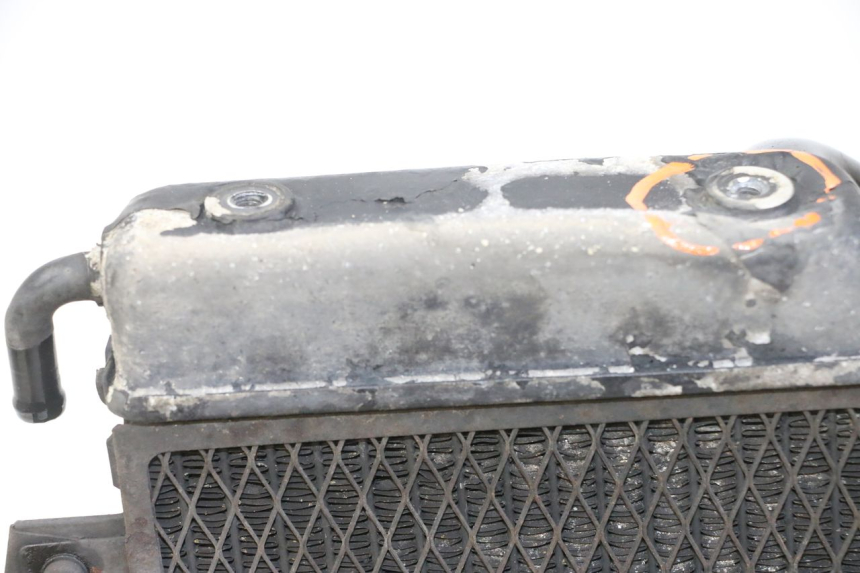 photo de RADIATEUR YAMAHA FZS FAZER 600 (2001 - 2003)