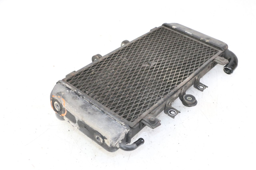photo de RADIATEUR YAMAHA FZS FAZER 600 (2001 - 2003)