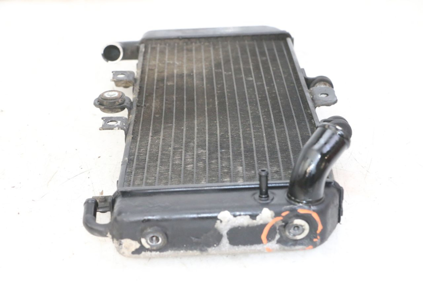photo de RADIATEUR YAMAHA FZS FAZER 600 (2001 - 2003)