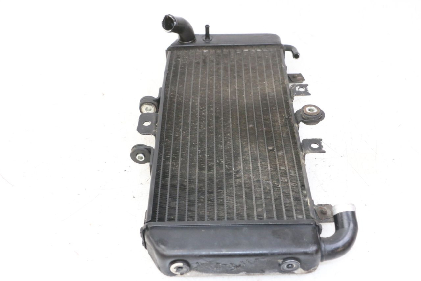 photo de RADIATEUR YAMAHA FZS FAZER 600 (2001 - 2003)