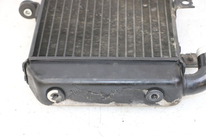 photo de RADIATEUR YAMAHA FZS FAZER 600 (2001 - 2003)