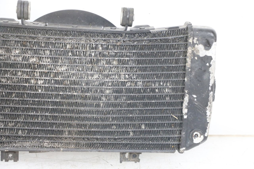 photo de RADIATEUR YAMAHA TDM ABS 900 (2002 - 2014)