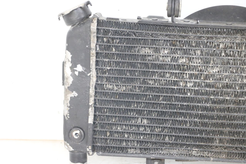 photo de RADIATEUR YAMAHA TDM ABS 900 (2002 - 2014)