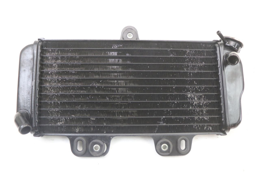 photo de RADIATEUR YAMAHA TDR DELTABOX 125 (1993 - 2003)