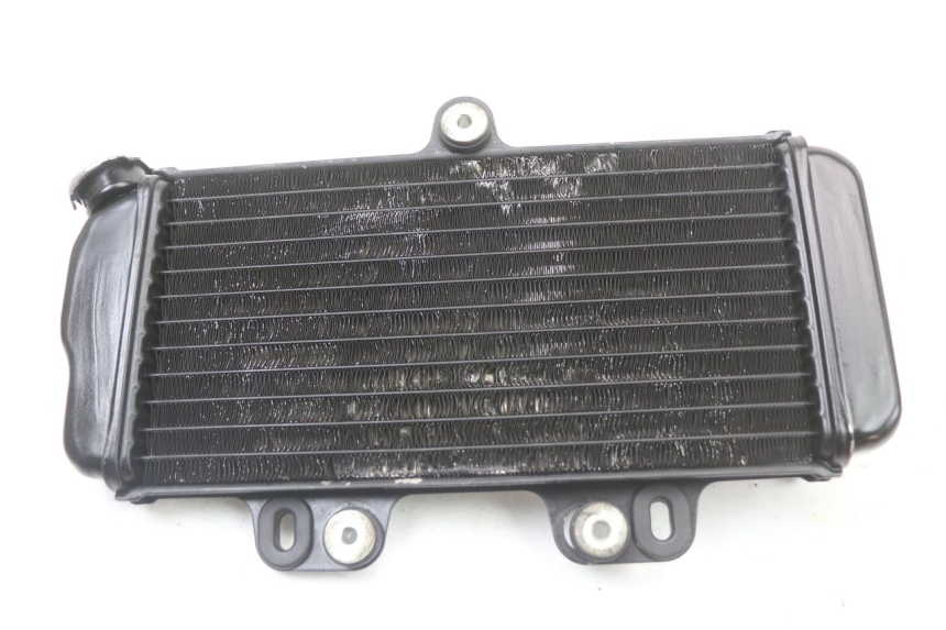 photo de RADIATEUR YAMAHA TDR DELTABOX 125 (1993 - 2003)