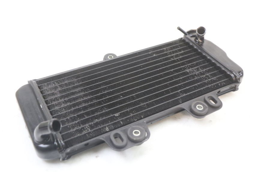 photo de RADIATEUR YAMAHA TDR DELTABOX 125 (1993 - 2003)