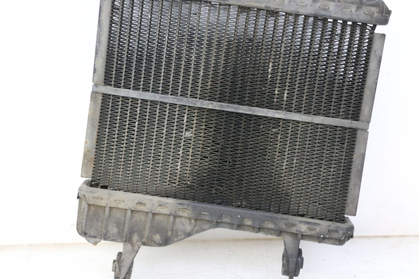 photo de RADIATEUR YAMAHA TZR 50 (2008 - 2016)
