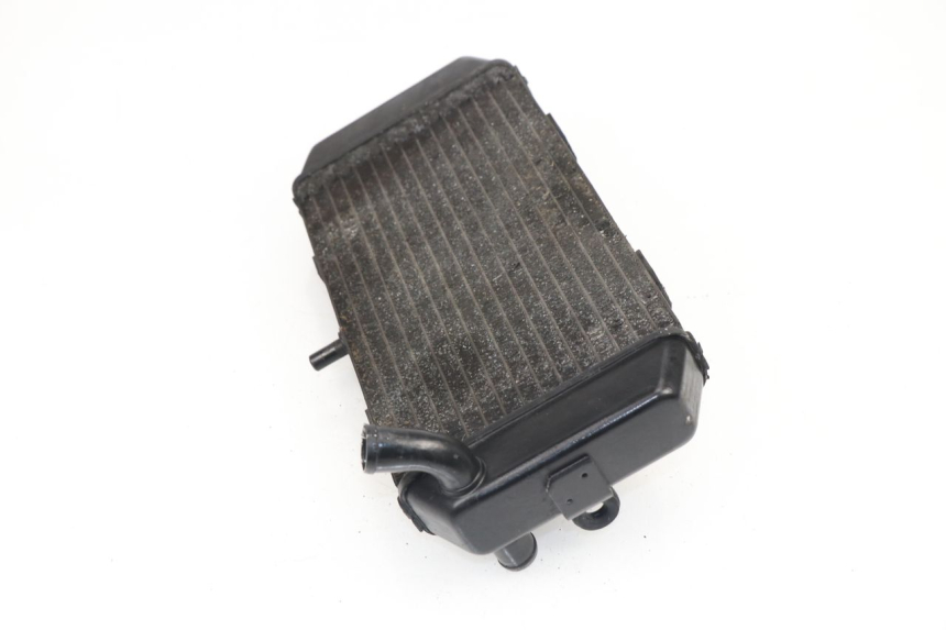 photo de RADIATEUR YAMAHA YP MAJESTY 400 (2004 - 2008)