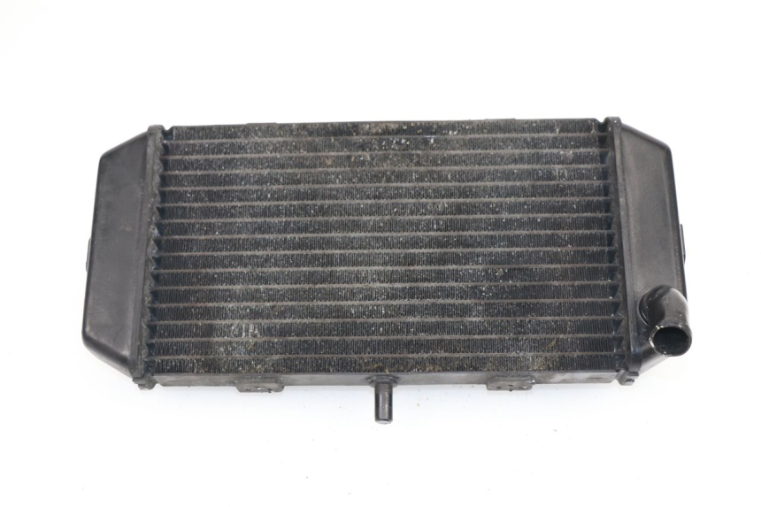 photo de RADIATEUR YAMAHA YP MAJESTY 400 (2004 - 2008)