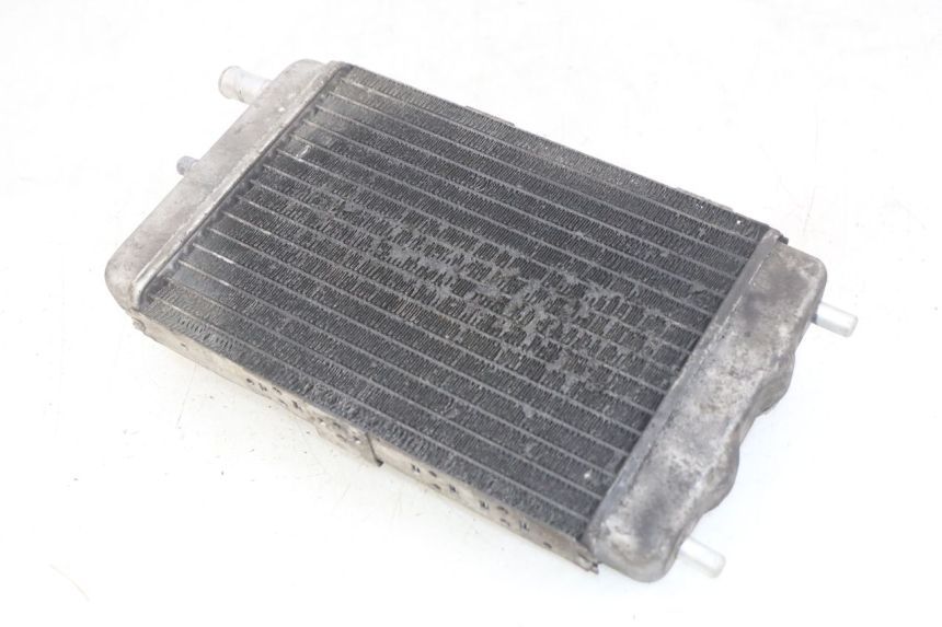 photo de RADIATEUR YAMAHA YP MAJESTY 125 (2007 - 2010)