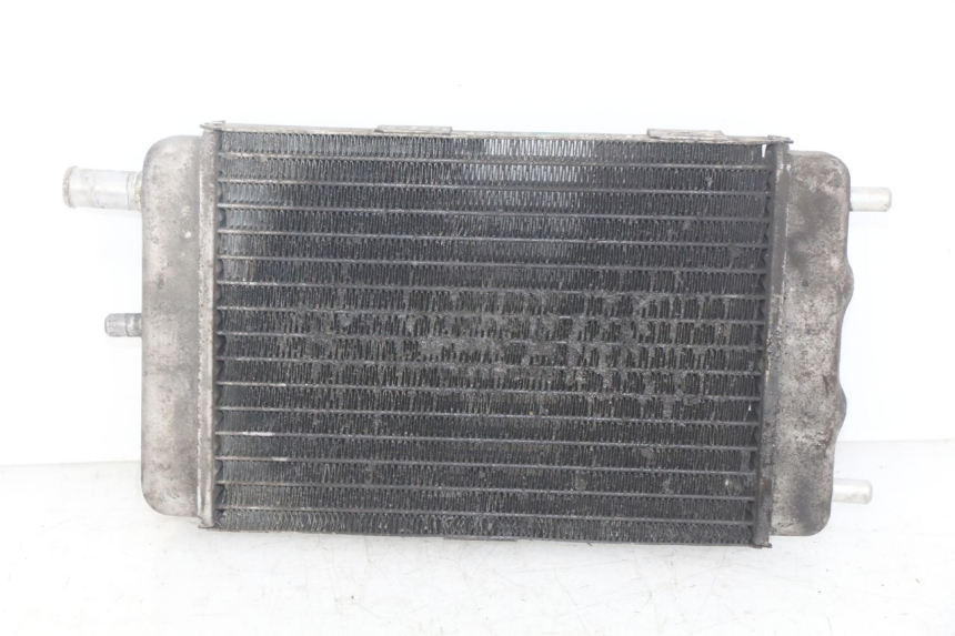 photo de RADIATEUR YAMAHA YP MAJESTY 125 (2007 - 2010)