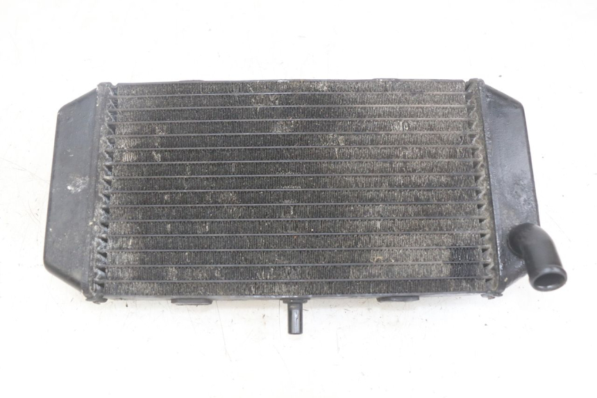 photo de RADIATEUR YAMAHA YP MAJESTY 400 (2004 - 2008)