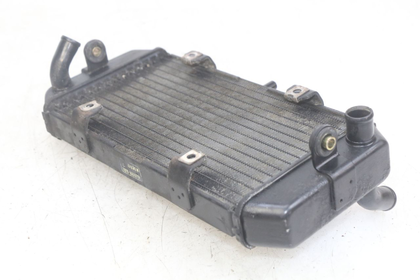 photo de RADIATEUR YAMAHA YP MAJESTY 400 (2004 - 2008)
