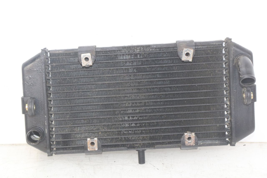 photo de RADIATEUR YAMAHA YP MAJESTY 400 (2004 - 2008)