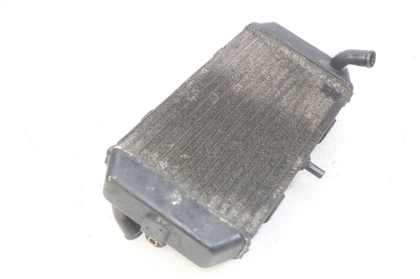 photo de RADIATEUR YAMAHA YP MAJESTY 400 (2004 - 2008)