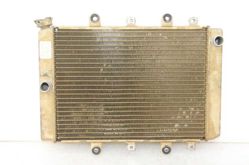 photo de RADIATEUR YAMAHA YFM GRIZZLY 550 (2008 - 2015)