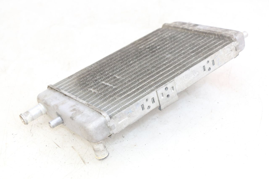 photo de RADIATEUR YAMAHA YP MAJESTY 125 (1998 - 2001) - Zoom état d’usage