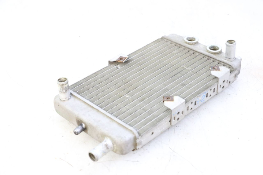 photo de RADIATEUR YAMAHA YP MAJESTY 125 (2002 - 2006)