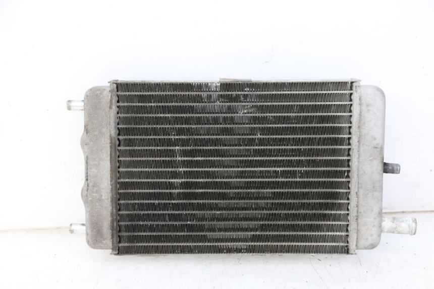 photo de RADIATEUR YAMAHA YP MAJESTY 125 (2002 - 2006)