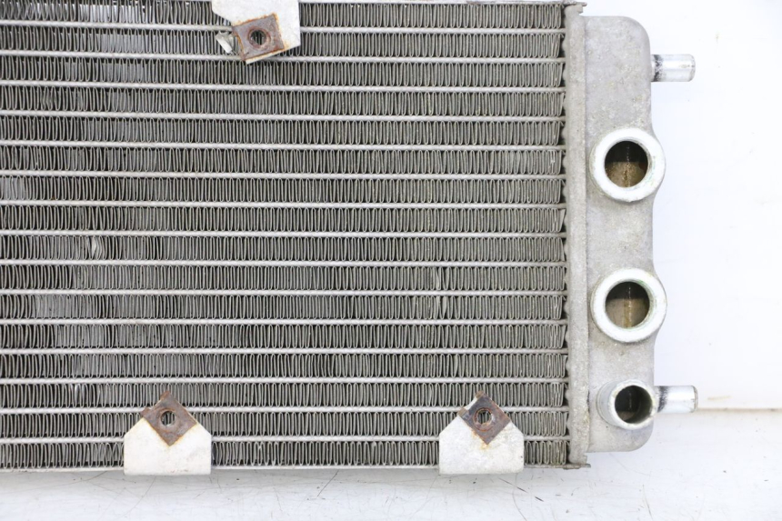 photo de RADIATEUR YAMAHA YP MAJESTY 125 (2002 - 2006)