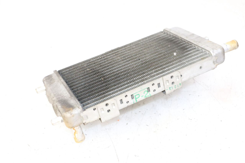 photo de RADIATEUR YAMAHA YP MAJESTY 125 (2007 - 2010)