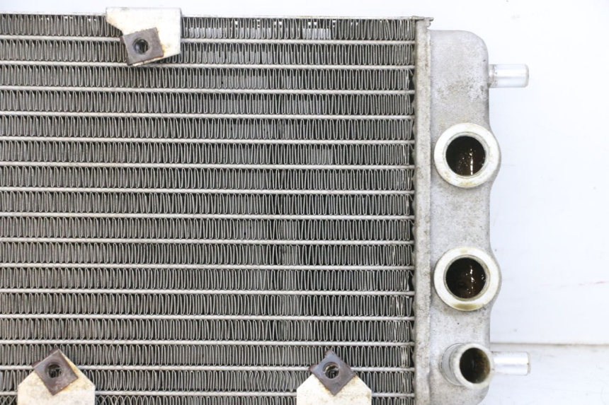 photo de RADIATEUR YAMAHA YP MAJESTY 125 (2002 - 2006) - Vue produit