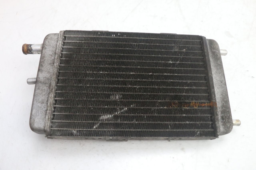 photo de RADIATEUR YAMAHA YP MAJESTY 125 (1998 - 2001) - Vue principale