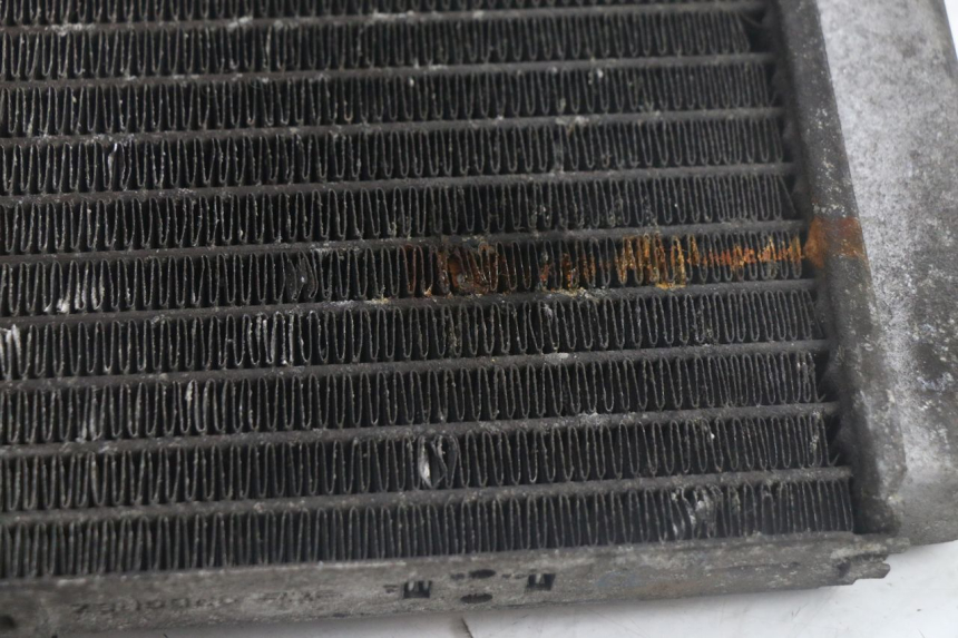 photo de RADIATEUR YAMAHA YP MAJESTY 125 (1998 - 2001) - Zoom état d’usage