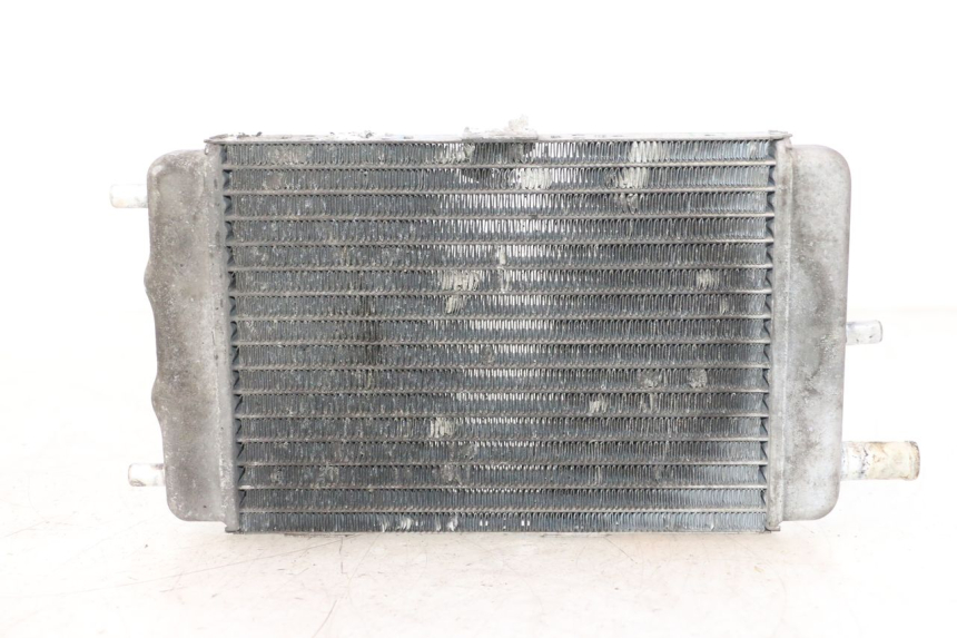 photo de RADIATEUR YAMAHA YP MAJESTY 125 (2002 - 2006) - Vue principale