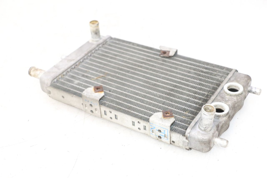photo de RADIATEUR YAMAHA YP MAJESTY 125 (2002 - 2006) - État de surface