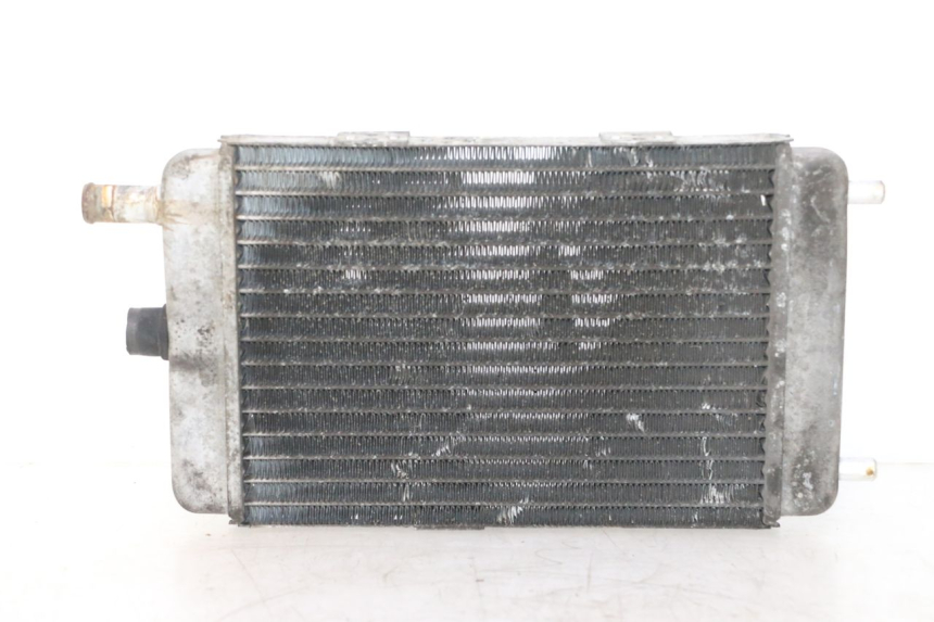 photo de RADIATEUR YAMAHA YP MAJESTY 125 (1998 - 2001) - Vue principale