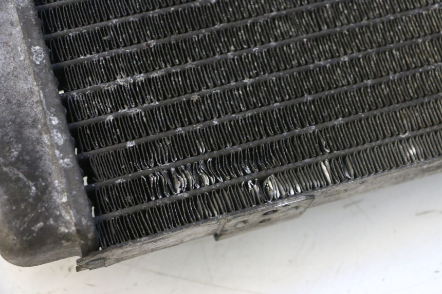 photo de RADIATEUR YAMAHA YP MAJESTY 125 (1998 - 2001) - Zoom état d’usage